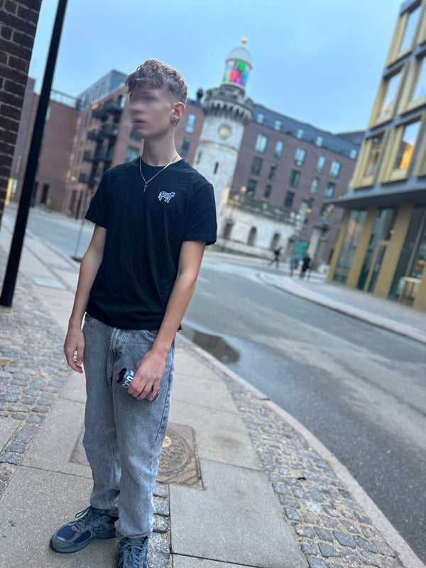 The Rise of Arctic Tiger: A New Era of Copenhagen Streetwear