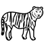 Arctic Tiger